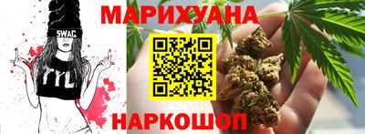 гидра Ставрополь