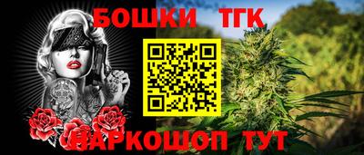 гидра Ставрополь