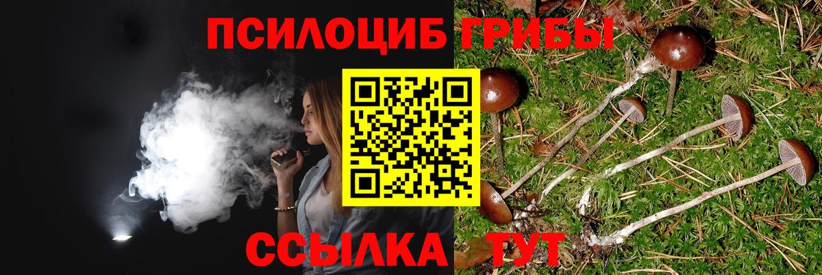 Галлюциногенные грибы мухоморы  даркнет сайт  Вход с VPN  Осинники  Галлюциногенные грибы Psilocybe 
