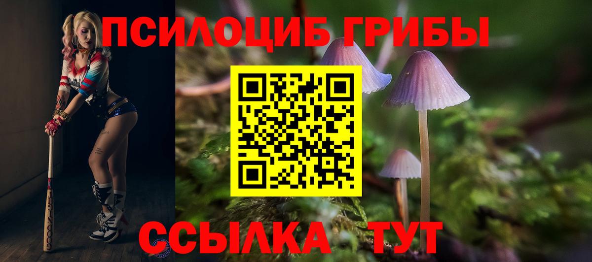 Псилоцибиновые грибы прущие грибы Осинники